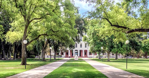 カリフォルニア大学デービス校 Uc Davis 付属語学学校